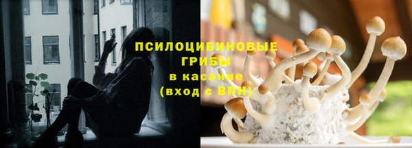 эйфоретик Осташков