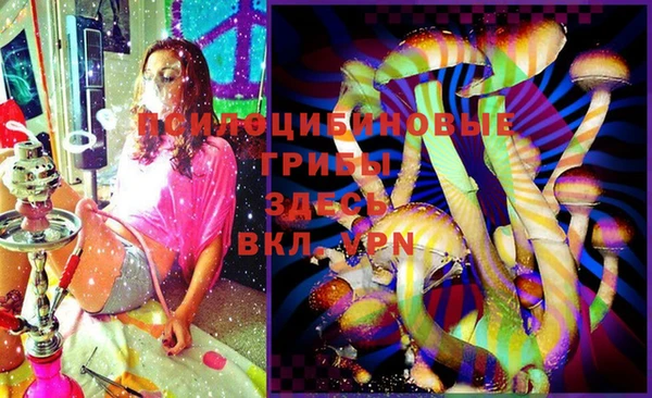 эйфоретик Осташков