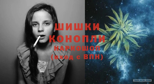 сатива Осинники